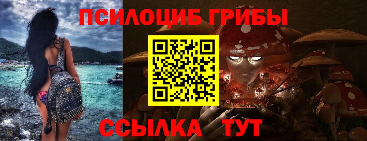 закладки  Псилоцибиновые грибы MAGIC MUSHROOMS  Вход с VPN  Псилоцибиновые грибы MAGIC MUSHROOMS  Мирный 